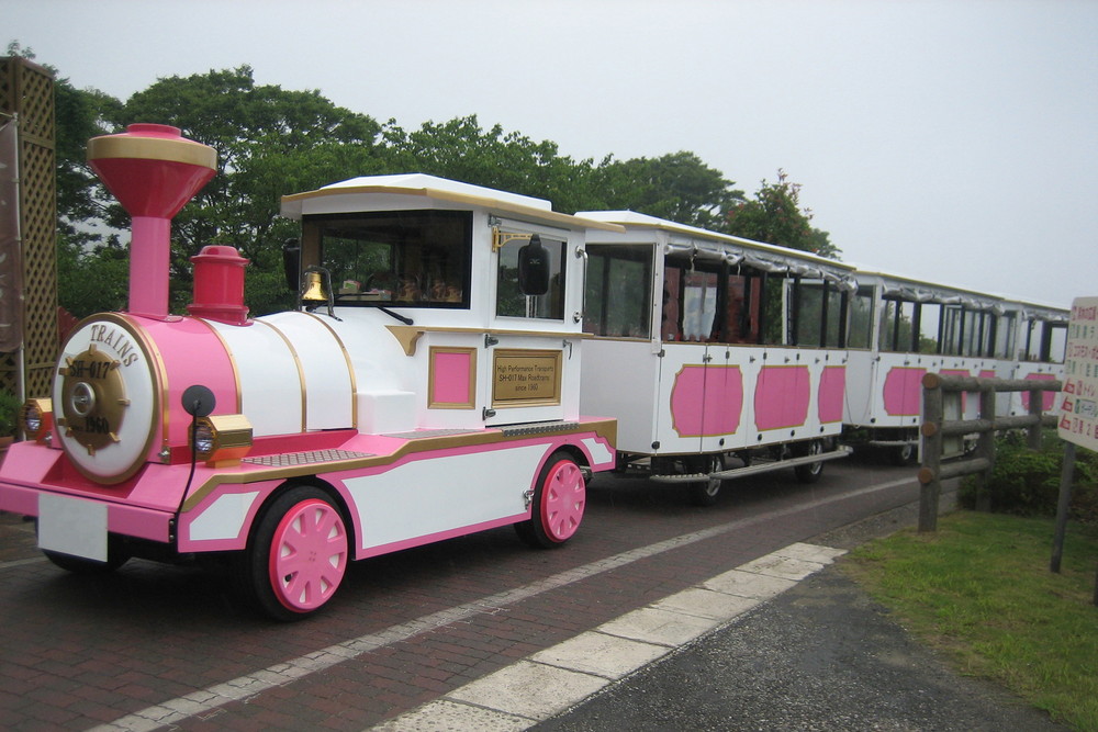 製作実績05_train(pink)